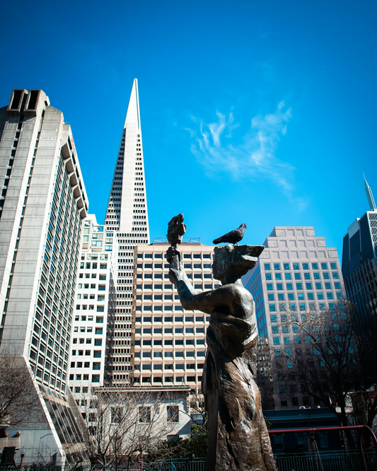 California - Annuities & Pension Plans – 183591-218863-WCS (12 Credits)